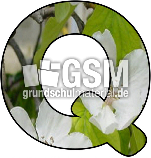 Blumenbuchstabe-Q.jpg